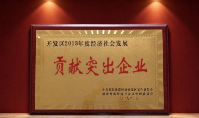 开发区经济社会发展贡献突出企业