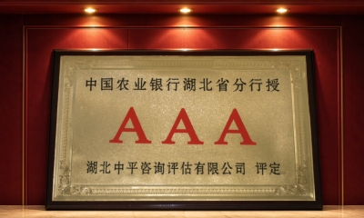 AAA资信等级认证