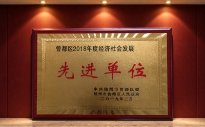 曾都区2018年度经济社会发展先进单位