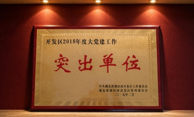 开发区大党建工作突出单位